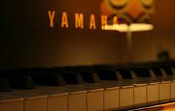 Contact Matt Mcguire Songwriter